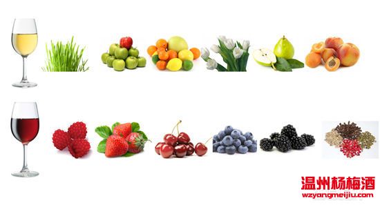 選酒指南之別被外表所欺騙 選酒指南之別被外表所欺騙