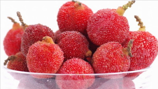 楊梅酒的做法，楊梅酒的制作